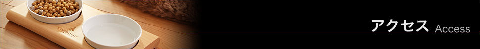 アクセス