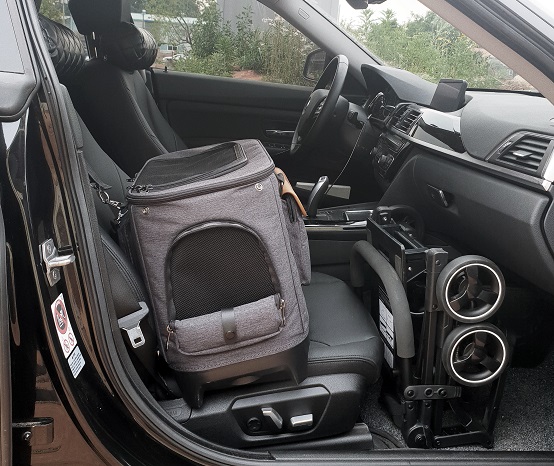 Royal Tails Alice 車のシートに固定