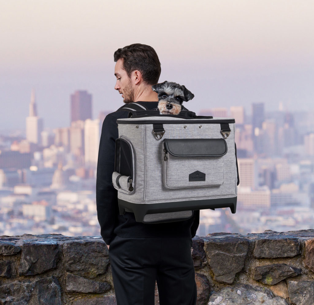 ロイヤルテイルズ – LAGER BLOG